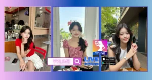 Hoa Binh YYLIVE
