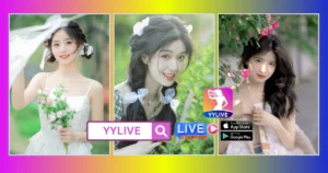 HoaBinh YYLIVE
