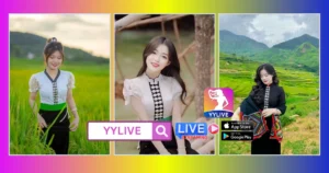 Kim Ngân YYLIVE