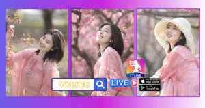 Thi Mai YYLIVE