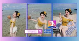 Tram YYLIVE